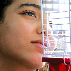 Bilder Couscous mit Fisch