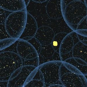 Bilder William Arntz