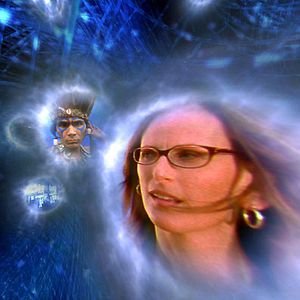 Bilder William Arntz