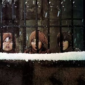 Bilder Die Zauberflöte