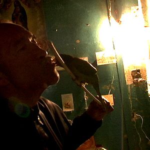 Bilder Die alten Diebe