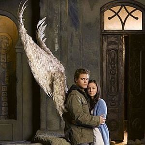 Bilder Fernanda Andrade