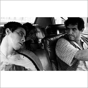 Bilder Schwarze Schafe