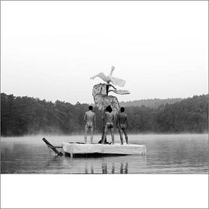 Bilder Schwarze Schafe