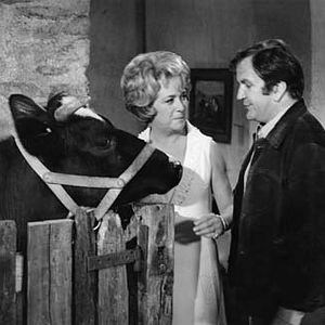 Bilder Jacqueline Maillan