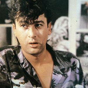 Bilder Alain Bashung