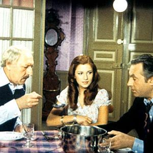 Bilder Die Chinesen in Paris