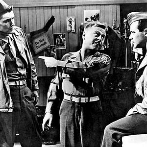 Bilder Selten so gelacht