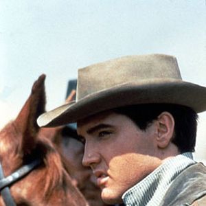 Bilder Flammender Stern