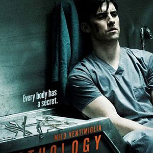 Bilder Milo Ventimiglia