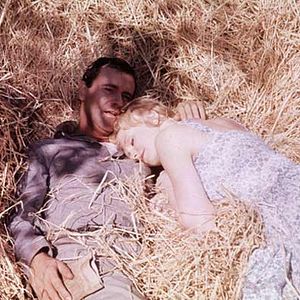 Bilder Tage des Weines und der Rosen