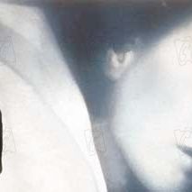 Bilder Lars von Trier