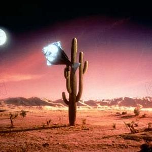 Bilder Arizona Dream