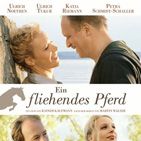 Bilder Ein fliehendes Pferd