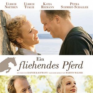 Bilder Ein fliehendes Pferd