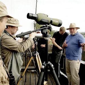 Bilder Ein fliehendes Pferd