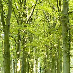 Bilder Nanouk Leopold