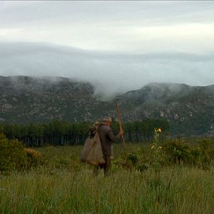 Bilder Cao Guimarães