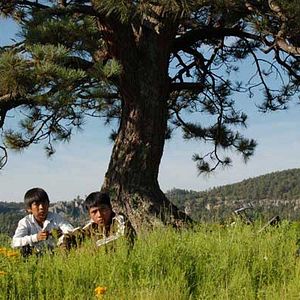 Bilder Israel Cárdenas