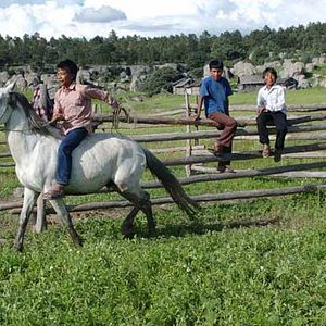 Bilder Laura Amelia Guzmán