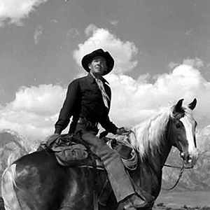 Bilder Einer gibt nicht auf