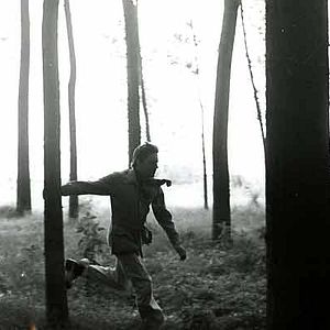 Bilder Die Strategie der Spinne