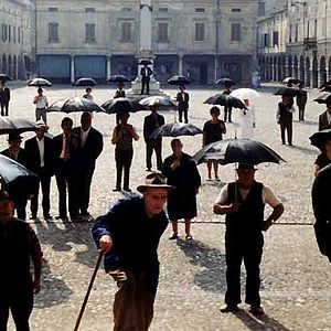 Bilder Die Strategie der Spinne