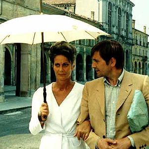 Bilder Die Strategie der Spinne