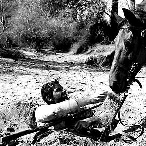 Bilder Die Zeit der Geier