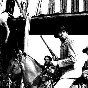 Bilder Die Zeit der Geier