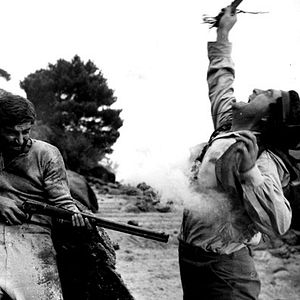 Bilder Die Zeit der Geier