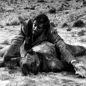 Bilder Die Zeit der Geier