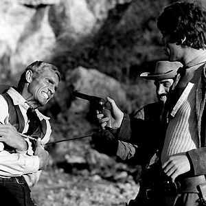 Bilder Die Zeit der Geier