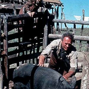 Bilder Clint Eastwood