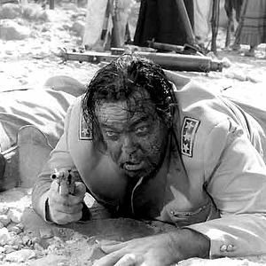 Bilder Giulio Petroni