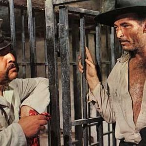 Bilder Der Gehetzte der Sierra Madre