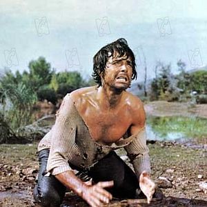 Bilder Der Gehetzte der Sierra Madre