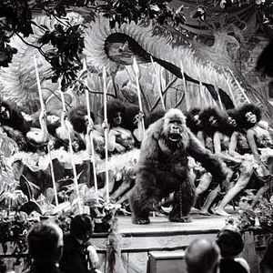 Bilder Die blonde Venus