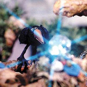 Bilder Abdollah Alimorad