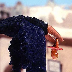 Bilder Abdollah Alimorad