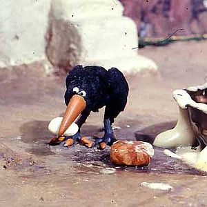 Bilder Mohammad Ali Soleymanzadeh