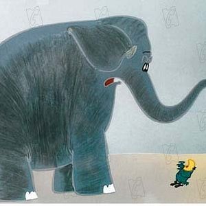 Bilder Morteza Ahadi Sarkani