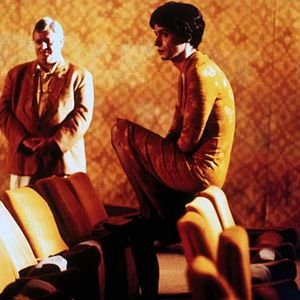 Bilder Zwei Köpfe hat die Mieze