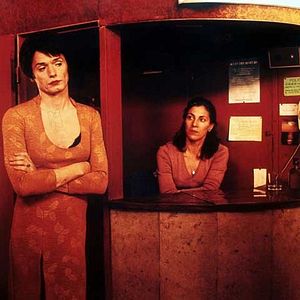 Bilder Zwei Köpfe hat die Mieze