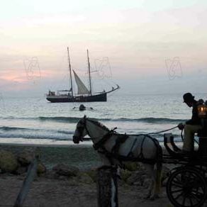 Bilder Die Liebe in den Zeiten der Cholera