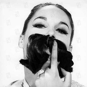 Bilder Ein Schuß im Dunkeln