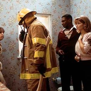 Bilder Peter Farrelly