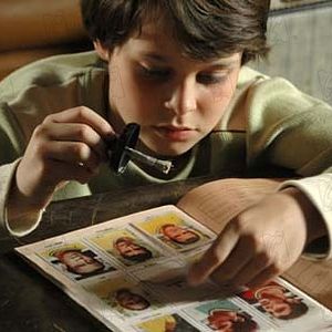 Bilder Cao Hamburger