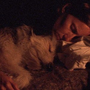 Bilder Diego Martinez Vignatti