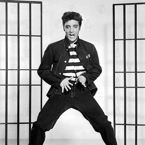 Bilder Elvis Presley